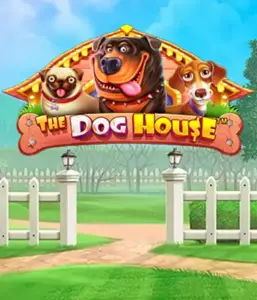 Pragmatic Play's The Dog House, featuring a delightful experience among lovable dogs. Engage in gameplay elements including multipliers, designed for providing exciting wins. Perfect for animal enthusiasts a lighthearted theme and the opportunity to win big.