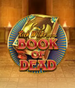 Enter the thrilling world of Book of Dead Slot by Play'n GO, presenting vivid graphics of Rich Wilde’s adventurous journey through ancient Egyptian tombs and artifacts. Uncover lost riches with captivating mechanics like free spins, expanding symbols, and a gamble option. Ideal for adventure enthusiasts with a desire for thrilling discoveries.